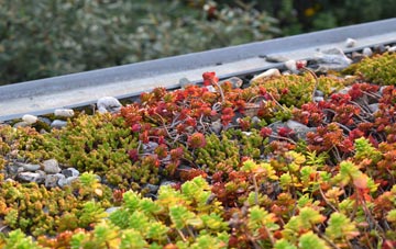 the cost of Sutton Leach green roof installation
