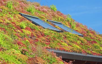 Sutton Leach living roof systems