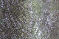 Sutton Leach fibreglass roof work